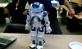 Robot NAO