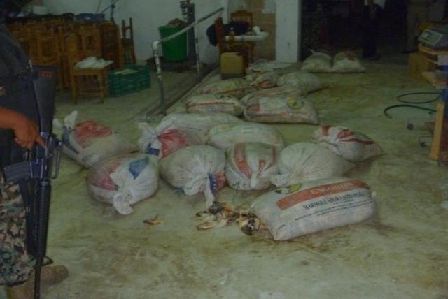 Por recomendaciones de CITES, Honduras créa una moratoria de exportacion