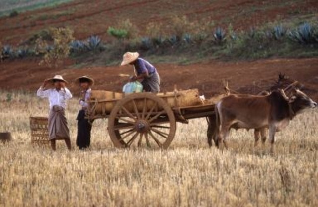 Entorno Economico:  La Agricultura el Colonialismo y la Esclavitud