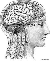 Medicina clásica (c. 495-435 a.C.)