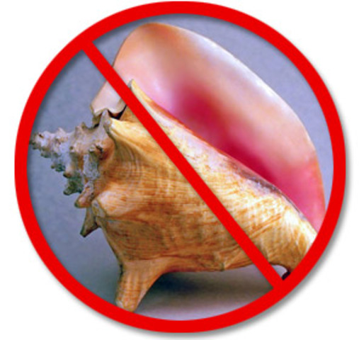 Por causa de sobre-explotación Honduras impone una veda para la especie