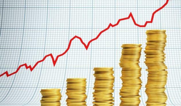 AÑO DE CRECIMIENTO ECONÓMICO