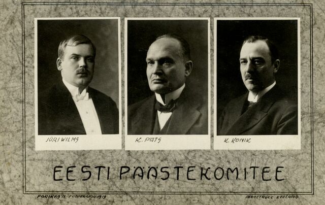 Eesti Päästekomitee loomine