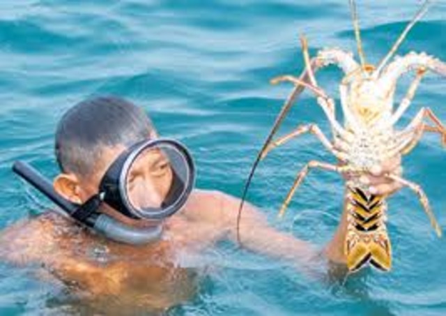 Inicia pesca por buceo en Honduras [8]