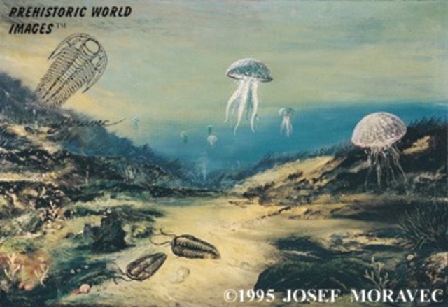 ordovician era 505-438 Million Years Ago