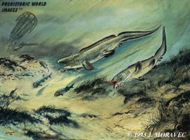 Carboniferous 362-290 Million Years Ago