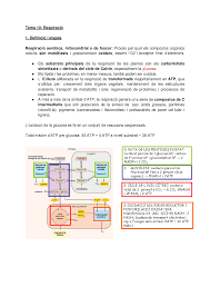Es descobreix la respiració vegetal