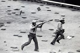 Indarkeria poliziala