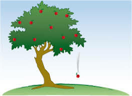 La llei de la gravetat