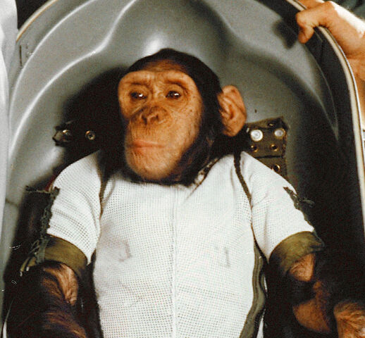 First Humanoid animal Ham (chimpanzee) in Space