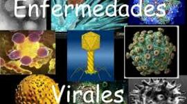 Timeline: enfermedades virales