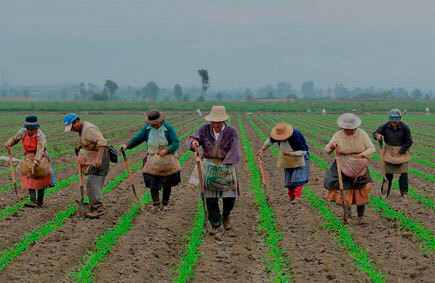 Reforma Agraria Integral