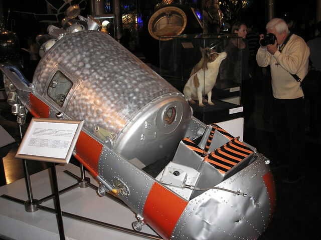First animals returned alive from space, Sputnik 5