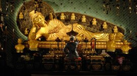 Timeline: Shinnyo-en