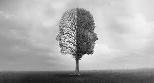 Concepción de la Locura aceptada hoy en día.