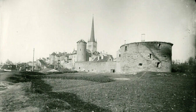 Petrogradi rahutused Eestis