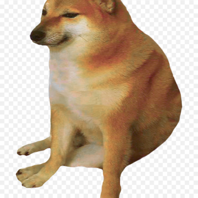 Timeline: Antecedentes históricos de las computadoras