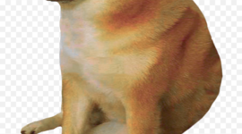 Timeline: Antecedentes históricos de las computadoras