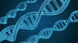 Timeline: Línia Temporal Unitat 8