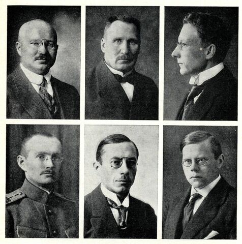 Maanõukogu valimised