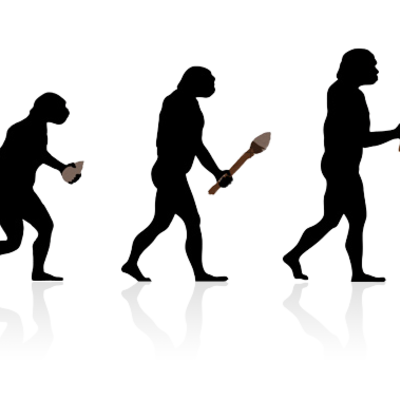 Timeline: La evolución humana.