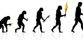 Timeline: La evolución humana.