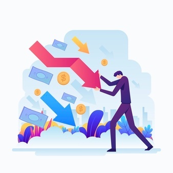 Inestabilidad Económica en el país