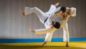 judo