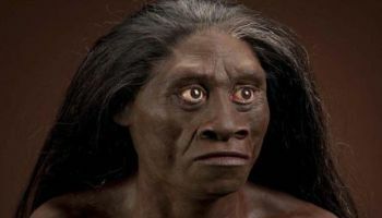 Homo floresiensis