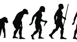 Timeline: Evolución de las Teorias de la Evolución