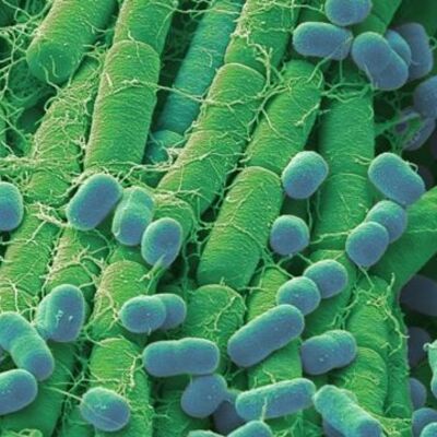 Timeline: Línia temporal Unitat 9