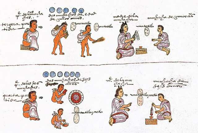 Escuelas de los plebeyos y nobles