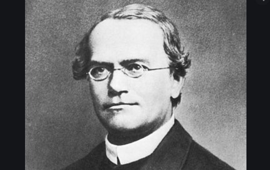 Gregor Mendel
