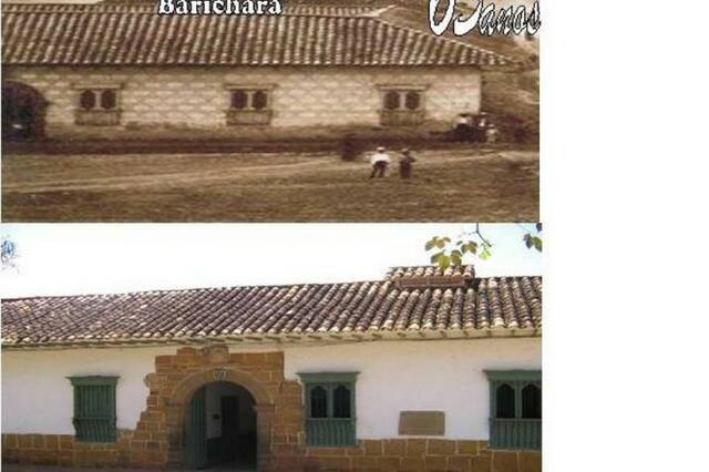 Organización del colegio