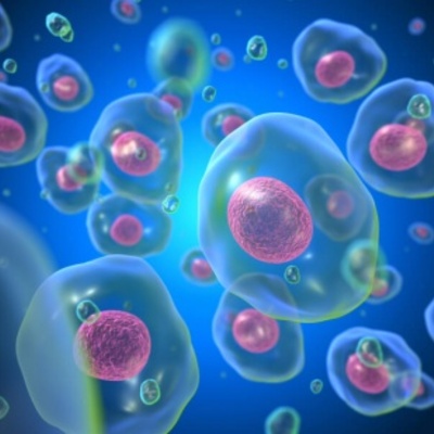 Timeline: Los cientificos de la Teoria Celular