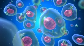 Timeline: Los cientificos de la Teoria Celular