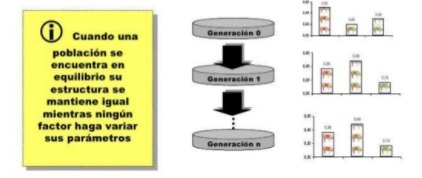 Ley de Hardy-Weinberg