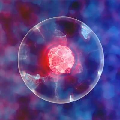 Timeline: historia celular