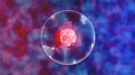 Timeline: historia celular