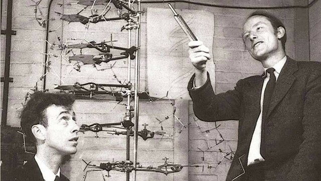 James Watson y Francis Crick, el descubrimiento de la doble hélice.