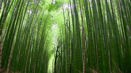 Timeline: LÍNEA DE TIEMPO DE LA EDUCACIÓN AMBIENTAL- JUAN JOSÉ SANTAMARÍA DAZA 11-4