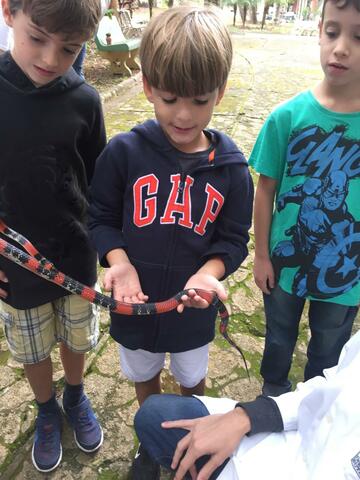 Visitando os primos em São Paulo