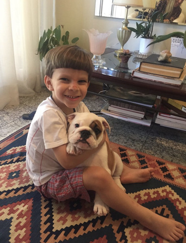 O dia em que ganhei minha buldogue Bibi