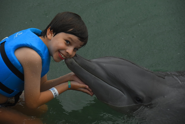 Minhas férias no México - brincando com os golfinhos