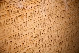 Expresiones de actividad contable