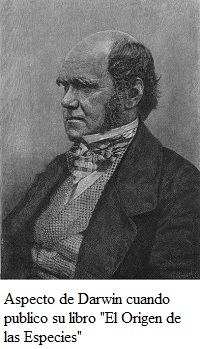 Teoría sobre la evolución de especies