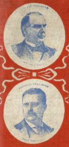 McKinley triumphs over Bryan