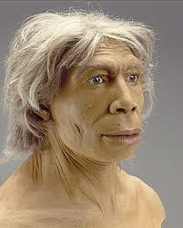 EL HOMBRE NEANDERTAL