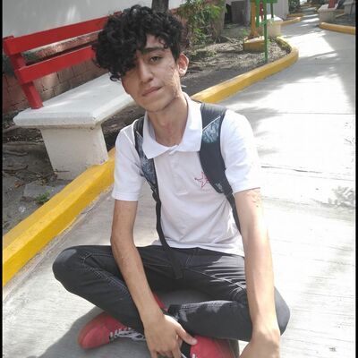 Timeline: Mi línea de vida. (Aldo Josue Requenes Salazar.)