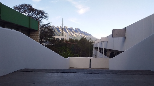 Descubro mi pasión por la fotografía